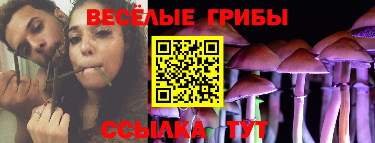 Озёры  Псилоцибиновые грибы мицелий  Вход с VPN 